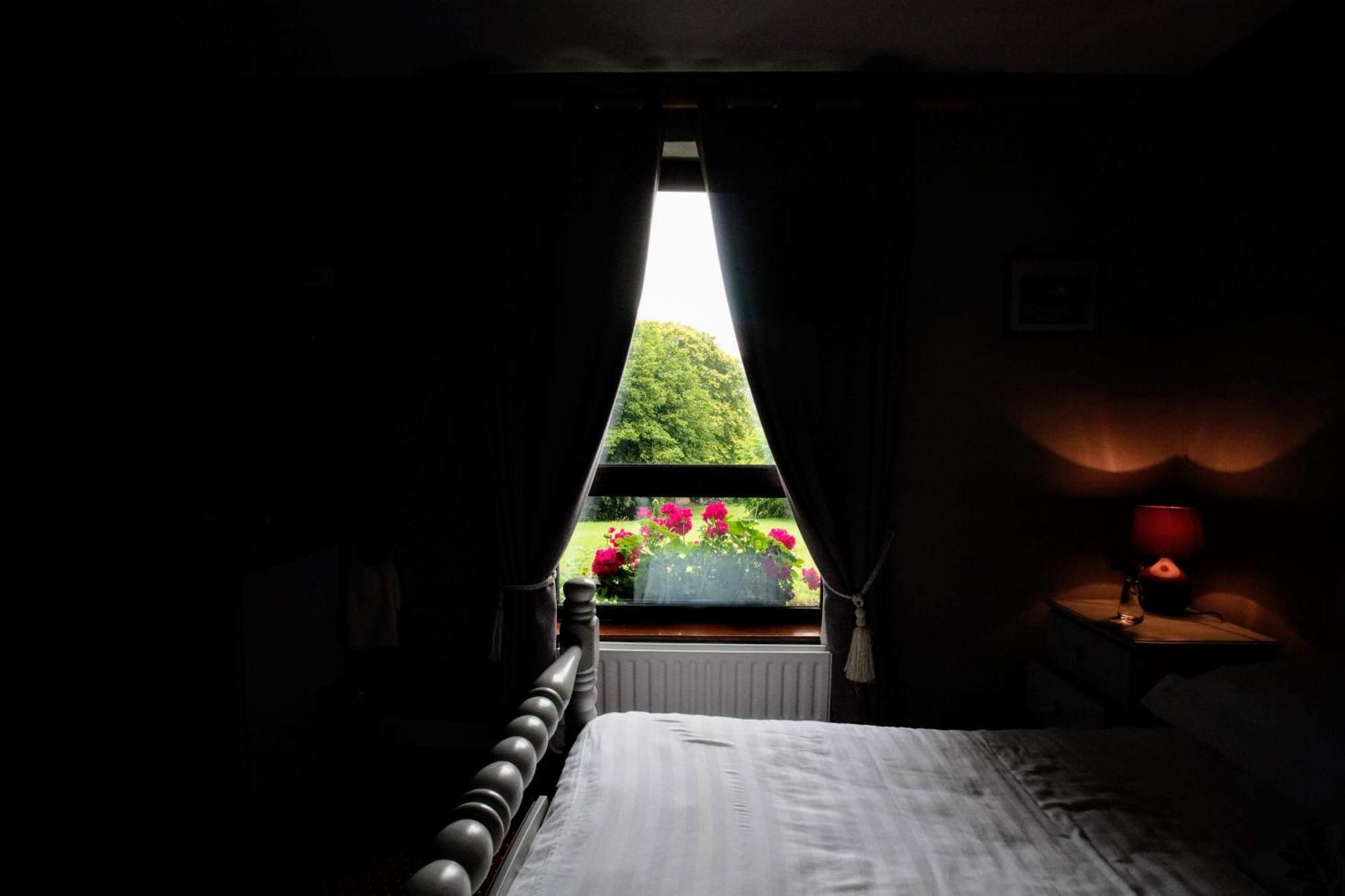 Abbey View Bed & Breakfast Голуей Екстериор снимка
